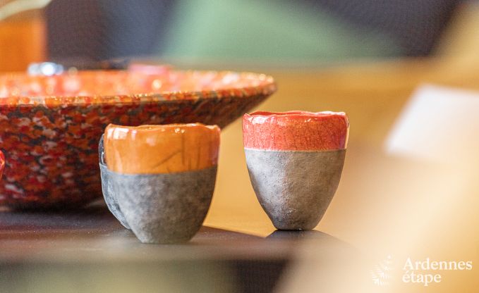 Herenhuis in Dinant voor 12/14 personen in de Ardennen