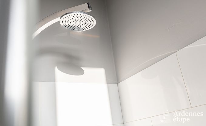 Herenhuis in Dinant voor 12/14 personen in de Ardennen