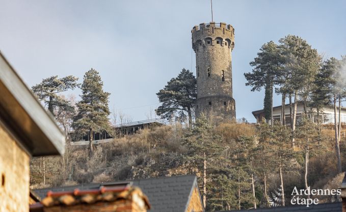 Herenhuis in Dinant voor 12/14 personen in de Ardennen