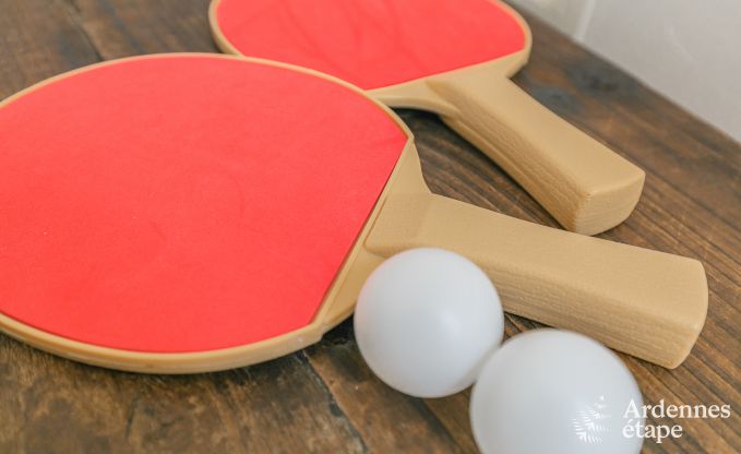 Vakantiehuis in Dinant voor 9 personen in de Ardennen