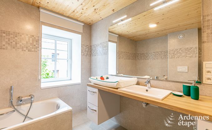 Vakantiehuis in Dinant voor 9 personen in de Ardennen