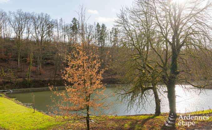 Vakantiehuis in Dinant voor 15 personen in de Ardennen