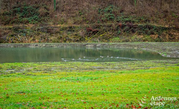 Vakantiehuis in Dinant voor 15 personen in de Ardennen