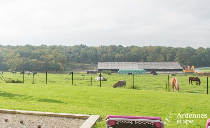 Vakantiehuis in Doische (Dinant) voor 8 personen in de Ardennen