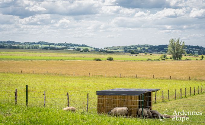 Buitengewoon in Doische voor 2/4 personen in de Ardennen