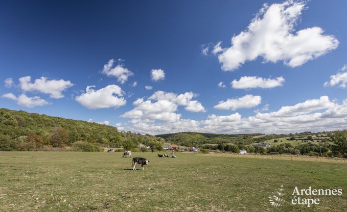 Vakantie op de boerderij in Doische voor 6/8 personen in de Ardennen