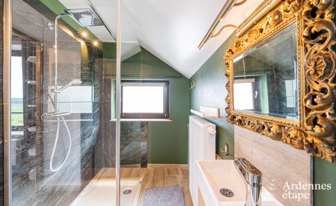 Vakantiehuis in Doische voor 9 personen in de Ardennen