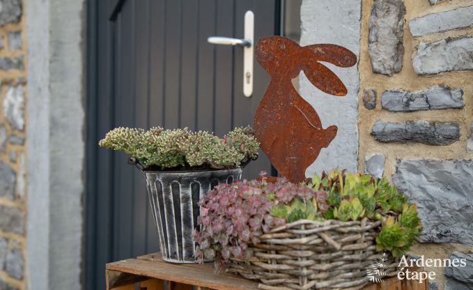Vakantiehuis in Doische voor 9 personen in de Ardennen