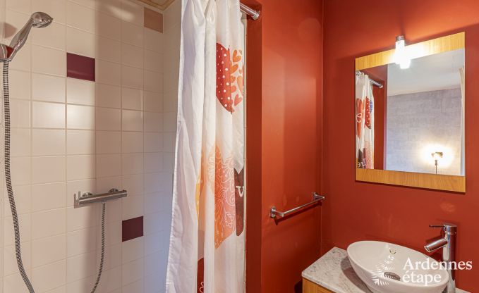 Vakantiehuis in Doische voor 9 personen in de Ardennen