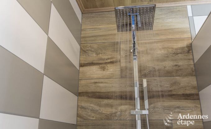 Vakantiehuis in Doische voor 8 personen in de Ardennen