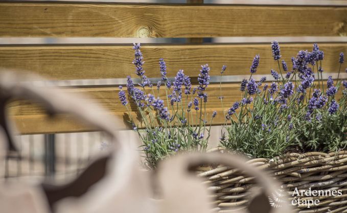 Vakantiehuis in Doische voor 8 personen in de Ardennen