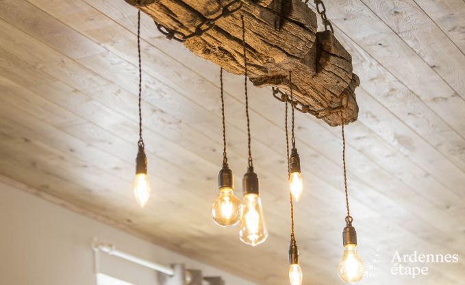 Vakantiehuis in Doische voor 8 personen in de Ardennen