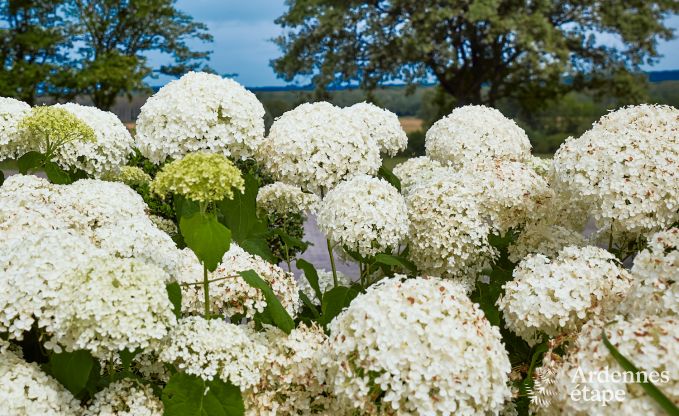 Vakantiehuis in Doische voor 8 personen in de Ardennen