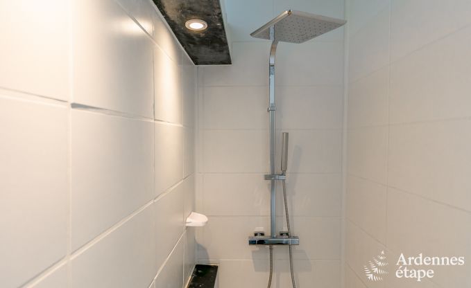 Vakantiehuis in Doische voor 9 personen in de Ardennen