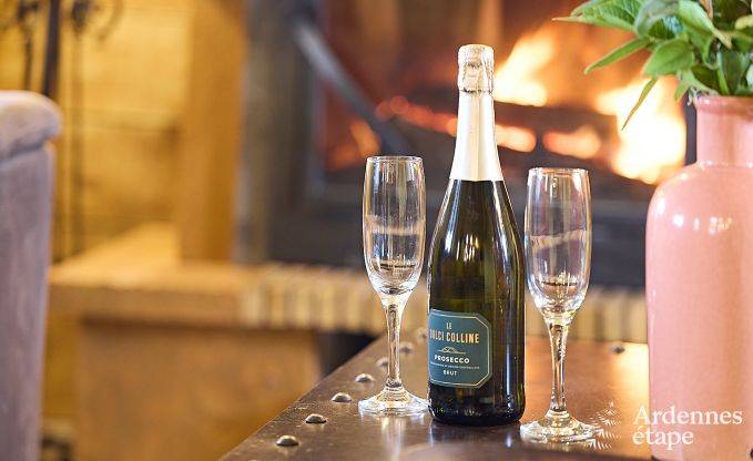 Vakantiehuis in Doische voor 9 personen in de Ardennen