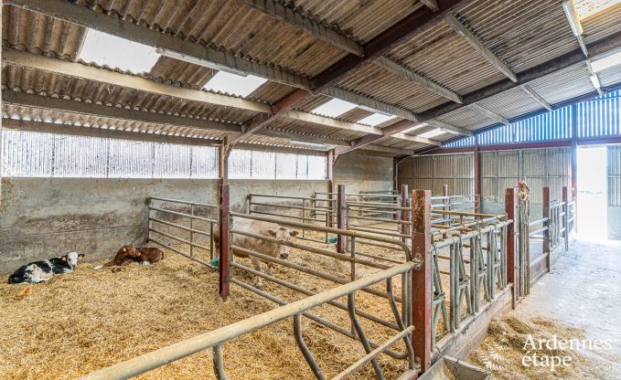 Buitengewoon in Doische voor 2/4 personen in de Ardennen