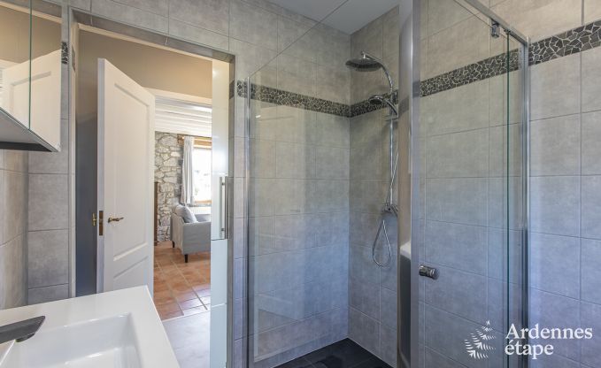 Vakantie op de boerderij in Doische voor 6/8 personen in de Ardennen