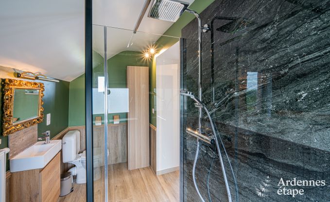 Vakantiehuis in Doische voor 9 personen in de Ardennen