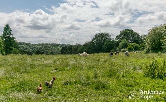 Vakantiehuis in Doische voor 16/18 personen in de Ardennen