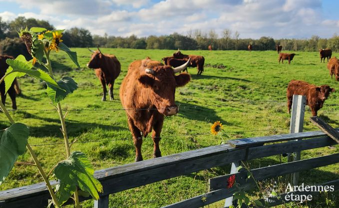Vakantiehuis in Doische voor 9 personen in de Ardennen