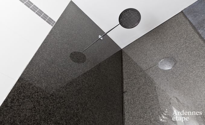 Luxe villa in Durbuy (Heyd) voor 24 personen in de Ardennen