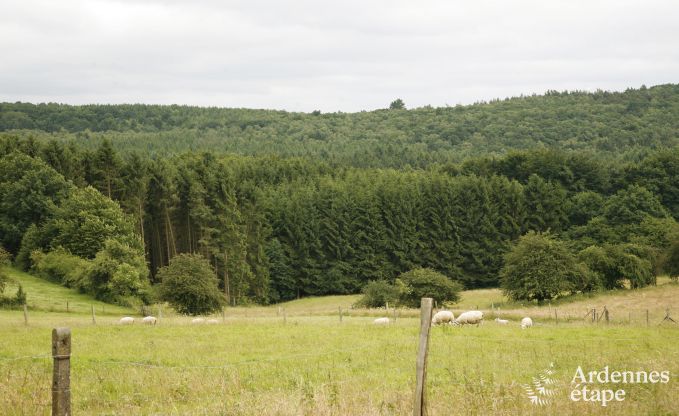 Vakantiehuis in Durbuy (Izier) voor 12 personen in de Ardennen