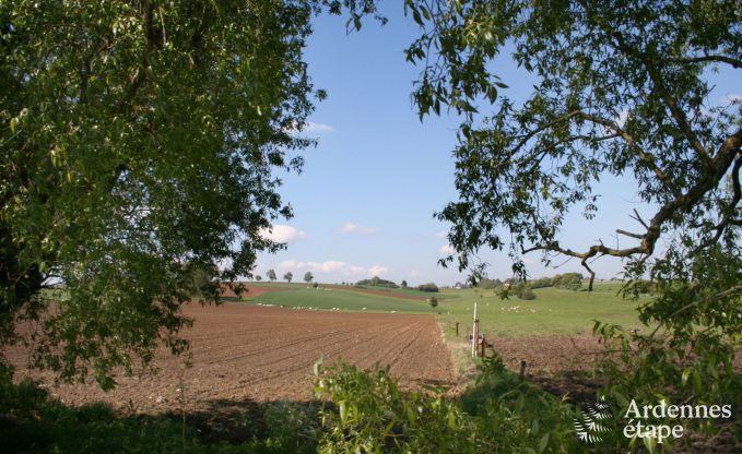 Vakantiehuis in Durbuy (M�an) voor 18 personen in de Ardennen