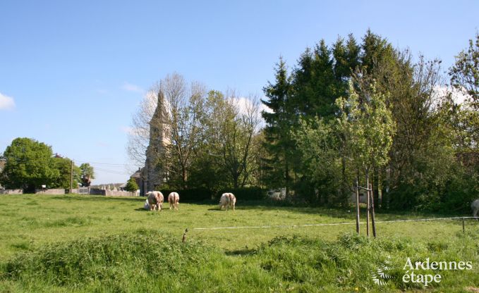 Vakantiehuis in Durbuy (M�an) voor 18 personen in de Ardennen