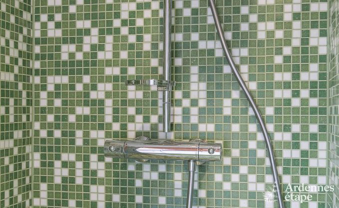 Vakantiehuis in Durbuy (W�ris) voor 15 personen in de Ardennen