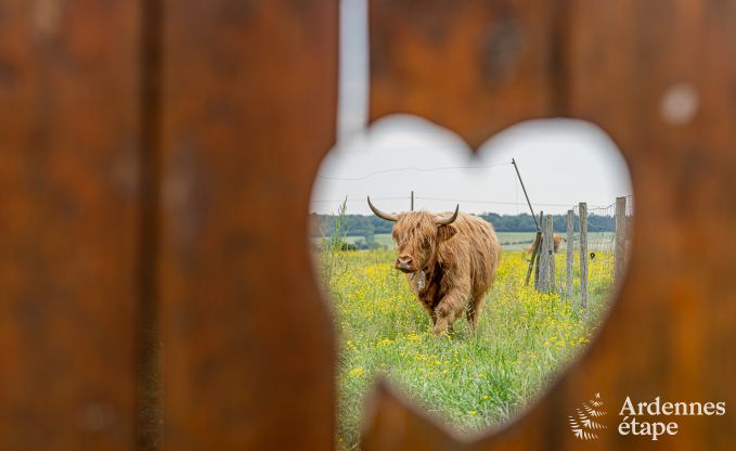 Vakantiewoning in Durbuy voor 2 personen in de Ardennen