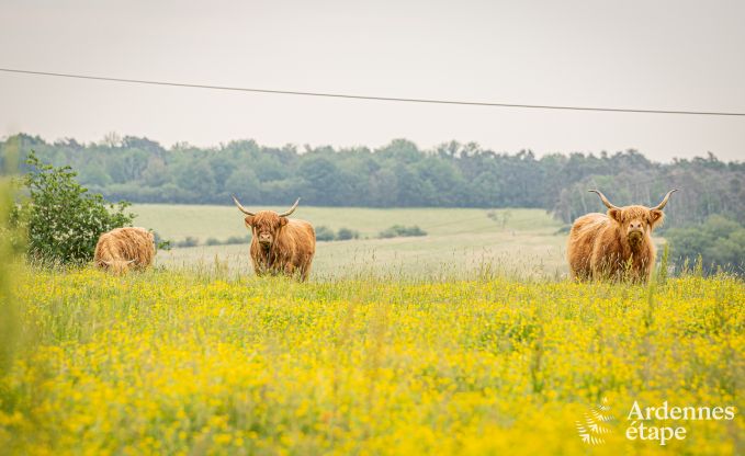 Vakantiewoning in Durbuy voor 2 personen in de Ardennen