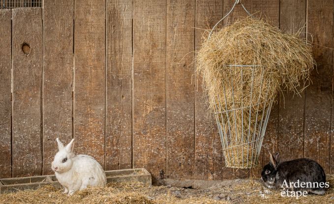 Charmant vakantiehuis in Durbuy voor 2 personen in de Ardennen
