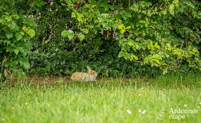 Appartement in Durbuy voor 2 personen in de Ardennen