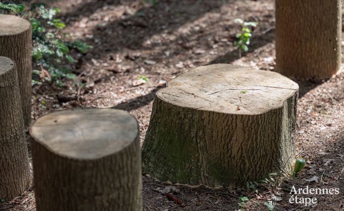 Zeer comfortabel chalet in Durbuy voor 6/7 personen in de Ardennen