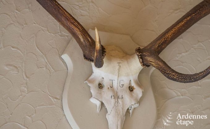 Chalet in Durbuy voor 6 personen in de Ardennen