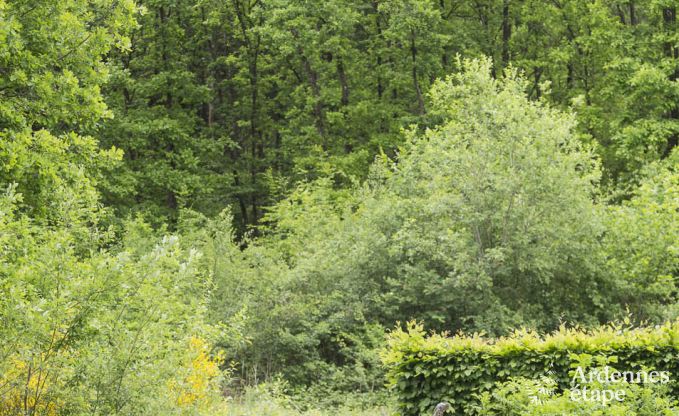 Chalet in Durbuy voor 8 personen in de Ardennen