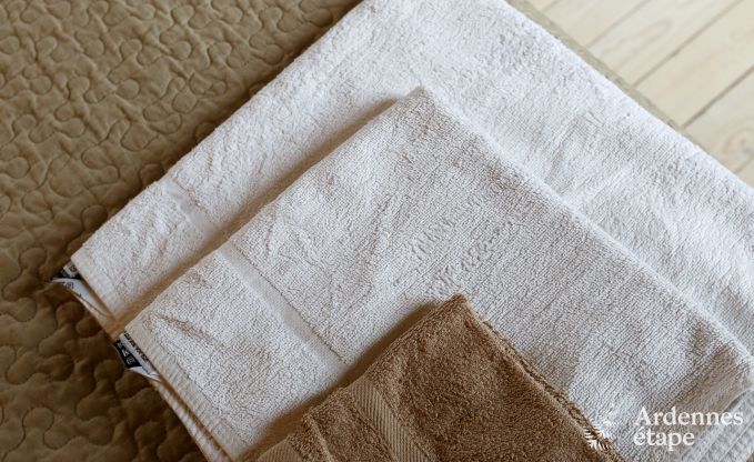 Chalet in Durbuy voor 18 personen in de Ardennen