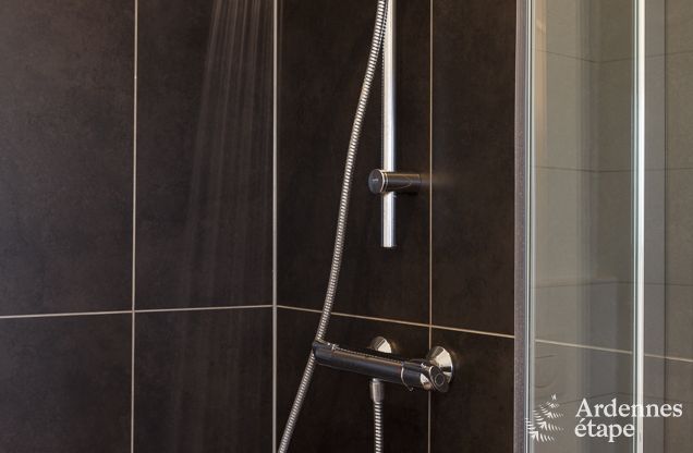 Chalet in Durbuy voor 18 personen in de Ardennen