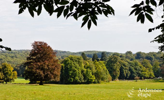 Kasteel in Durbuy voor 9 personen in de Ardennen