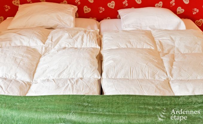 Kasteel in Durbuy voor 9 personen in de Ardennen