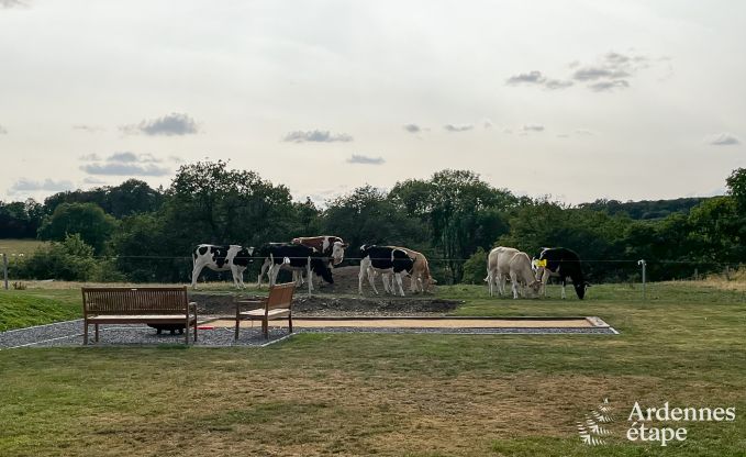 Luxe villa in Durbuy voor 12 personen in de Ardennen