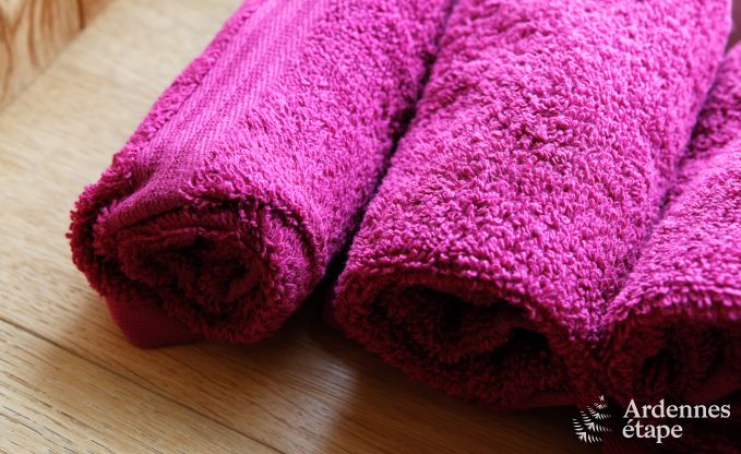 Luxe villa in Durbuy voor 4 personen in de Ardennen