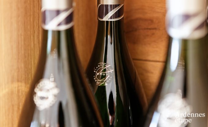 Luxe villa in Durbuy voor 4 personen in de Ardennen