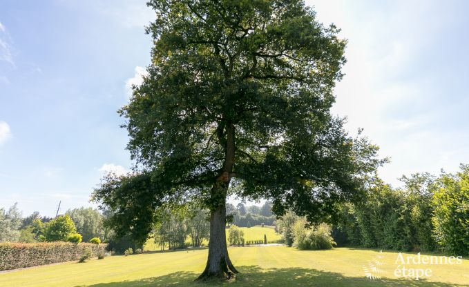 Luxe villa in Durbuy voor 11 personen in de Ardennen