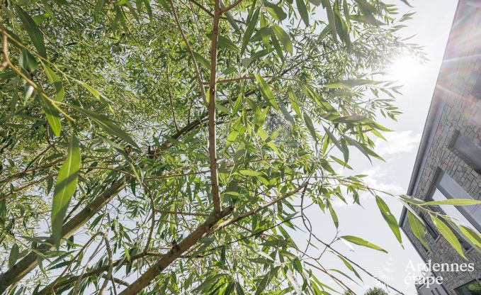 Luxe villa in Durbuy voor 14 personen in de Ardennen