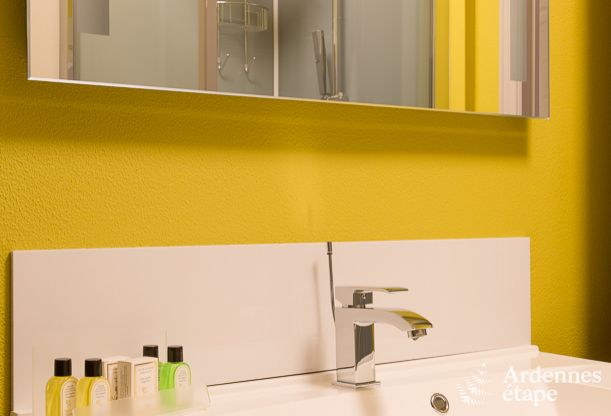 Luxueuze villa in Durbuy voor 15 personen met binnen- en buitenzwembad ineen, een jacuzzi en een sauna: pure ontspanning.