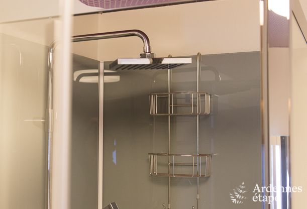 Luxueuze villa in Durbuy voor 15 personen met binnen- en buitenzwembad ineen, een jacuzzi en een sauna: pure ontspanning.