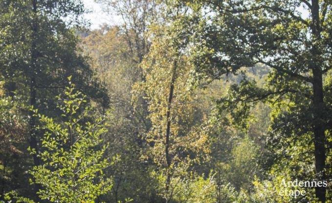 Luxe villa in Durbuy voor 9 personen in de Ardennen