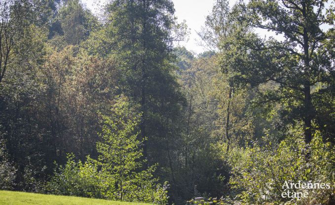 Luxe villa in Durbuy voor 9 personen met binnenzwembad en hammam in de Ardennen