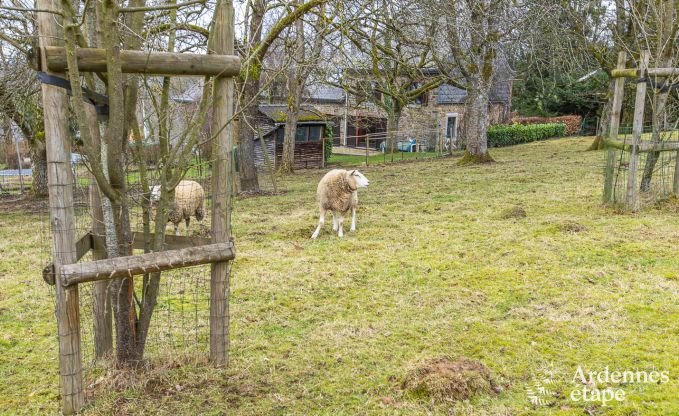 Luxe villa in Durbuy voor 14 personen in de Ardennen